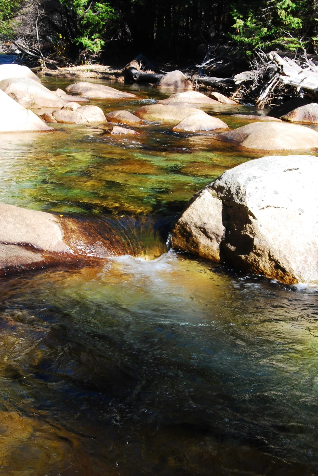 DSC_0265.jpg
