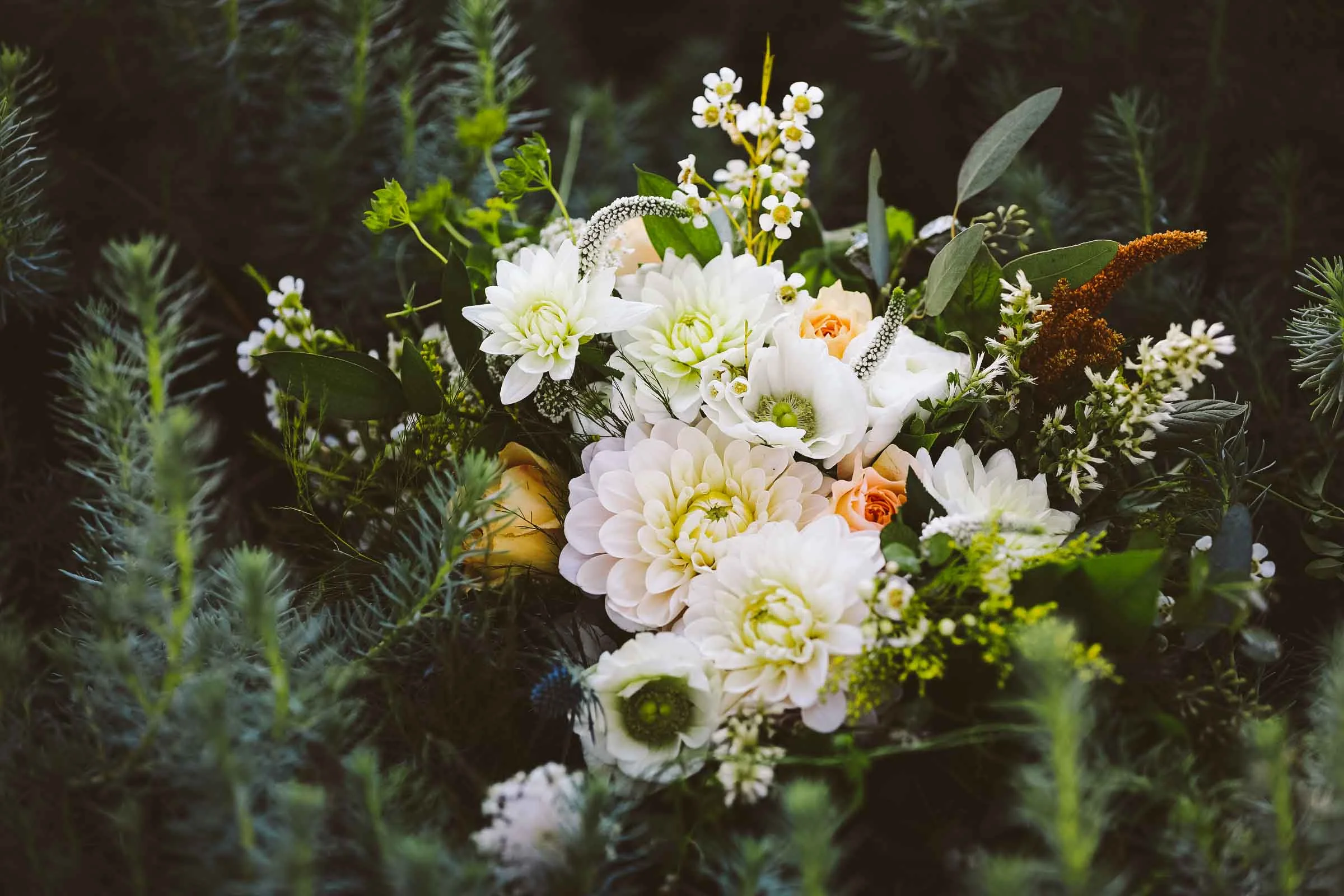 Marc Amesse Photography_Morro Bay, CA_Wedding-37.jpg