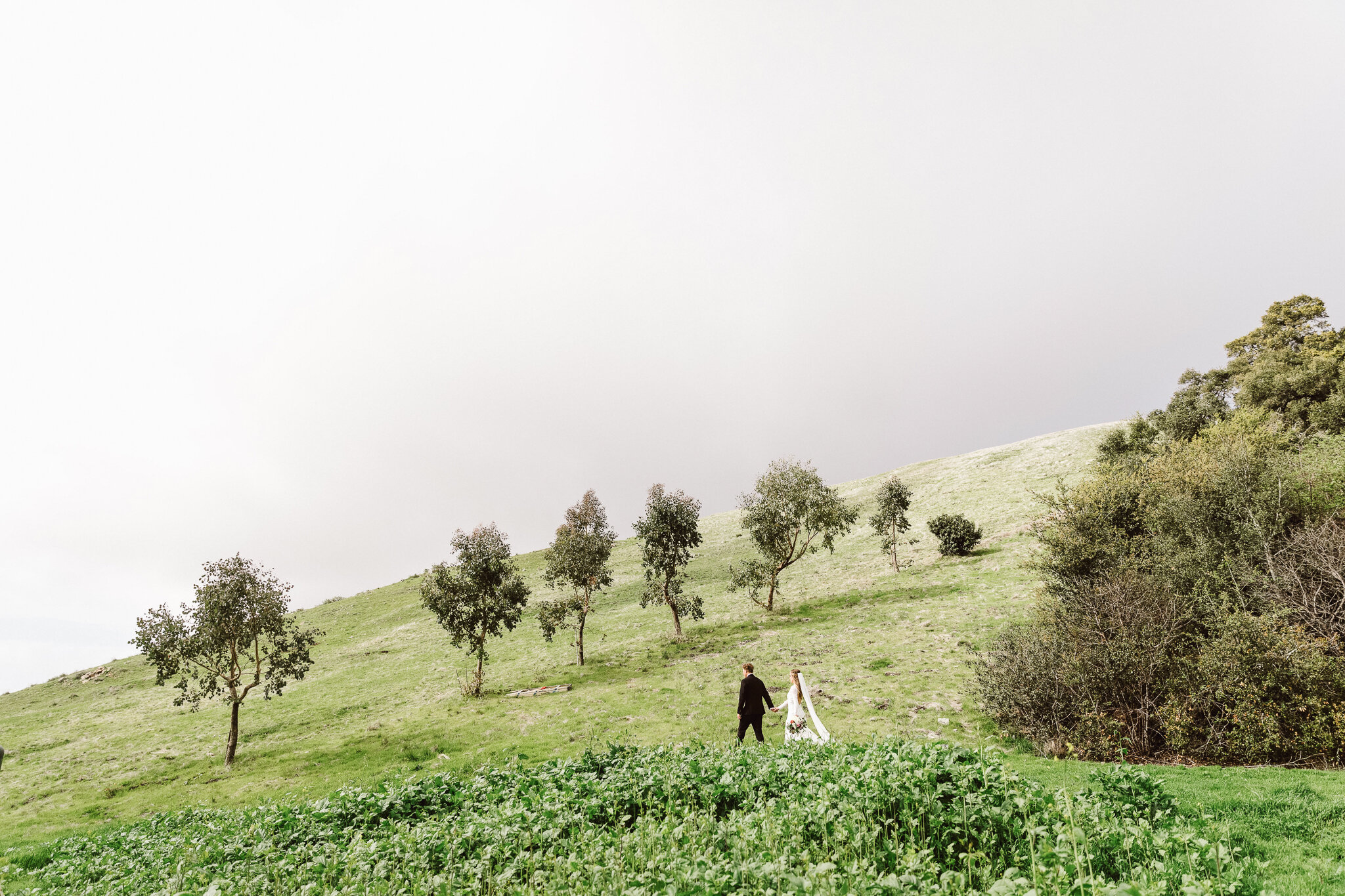 Wedding Photography-Marc Amesse Photography-Cayucos, CA-64.jpg