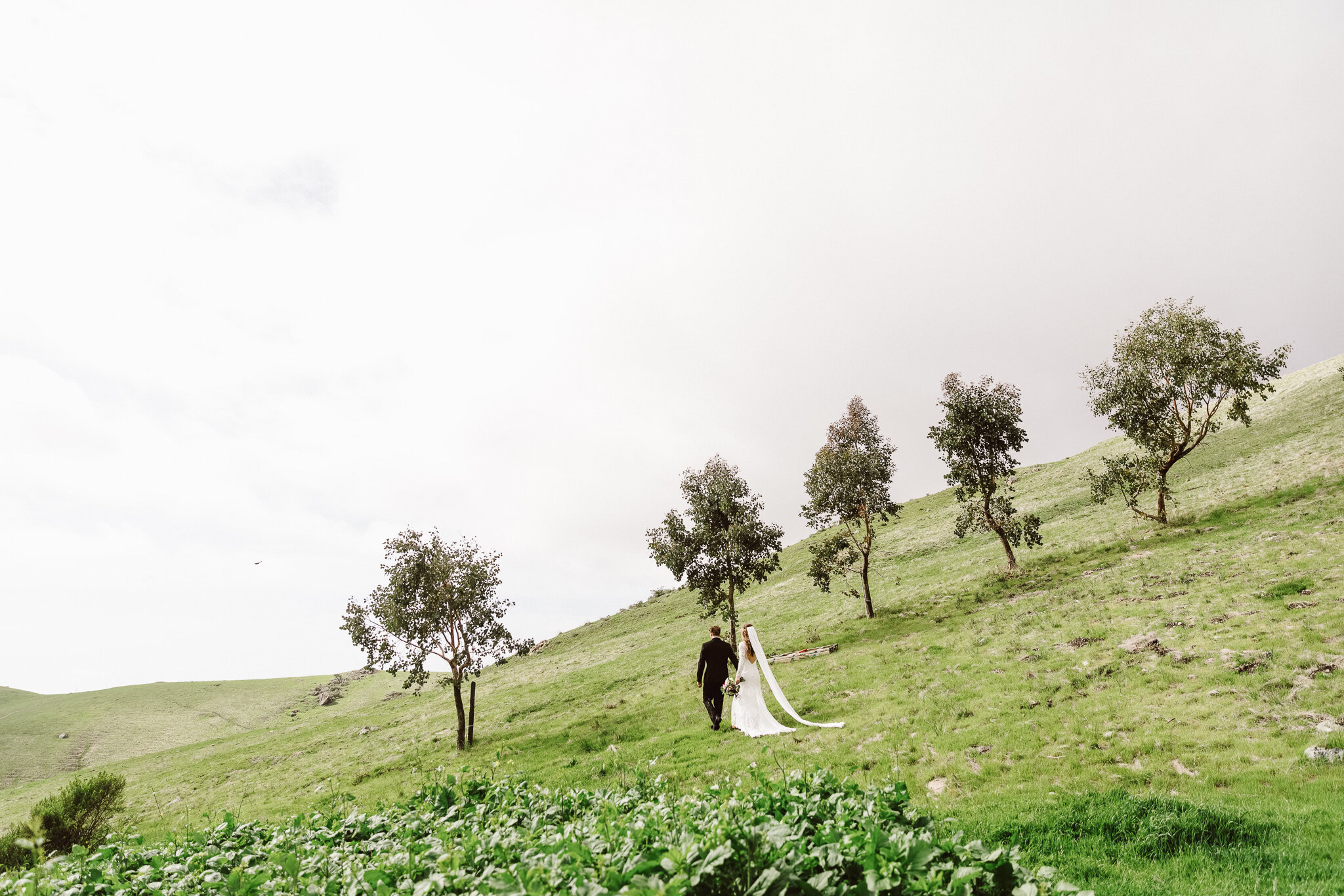 Wedding Photography-Marc Amesse Photography-Cayucos, CA-65.jpg