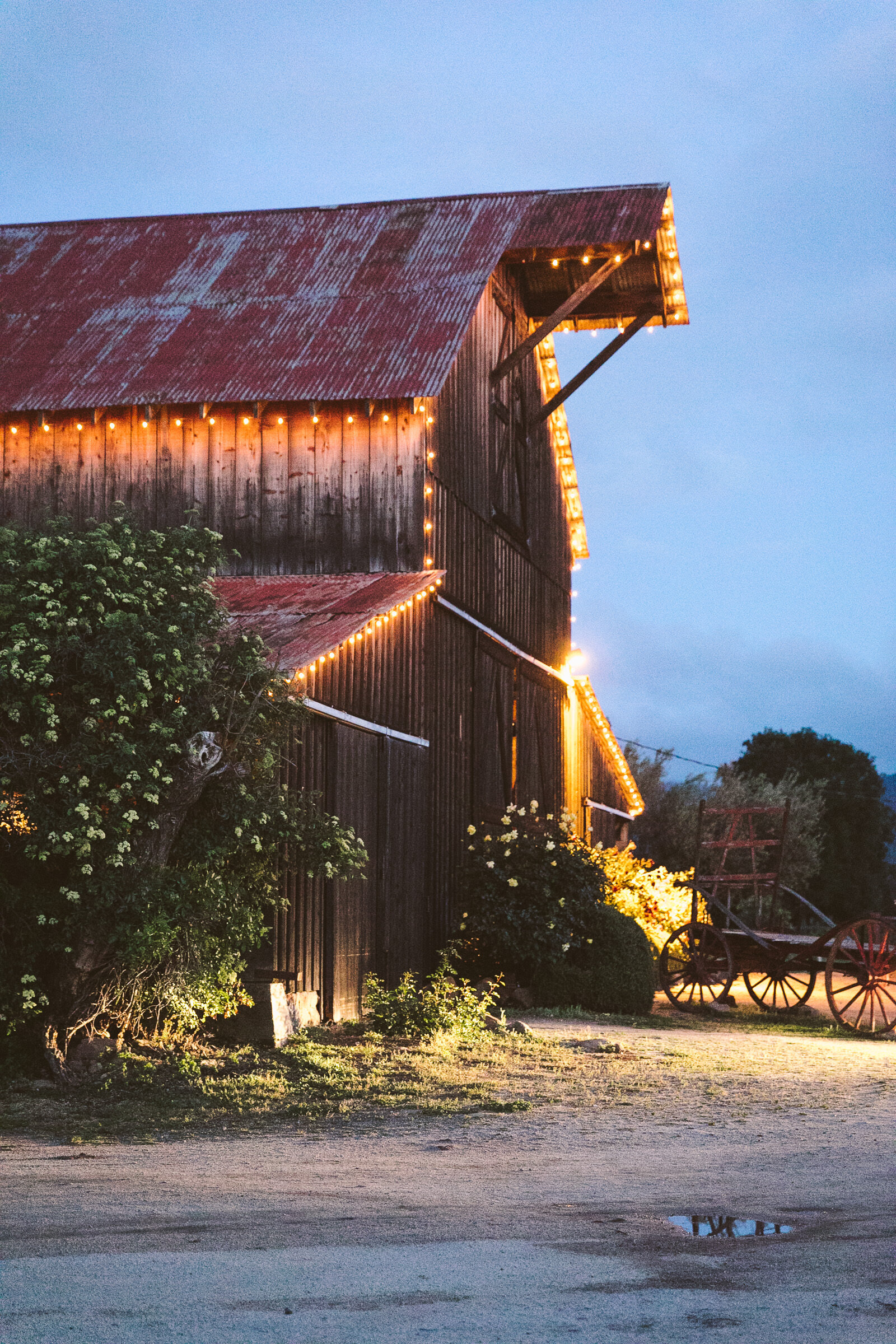 Santa Margarita Ranch Wedding-Marc Amesse Photography-182.jpg