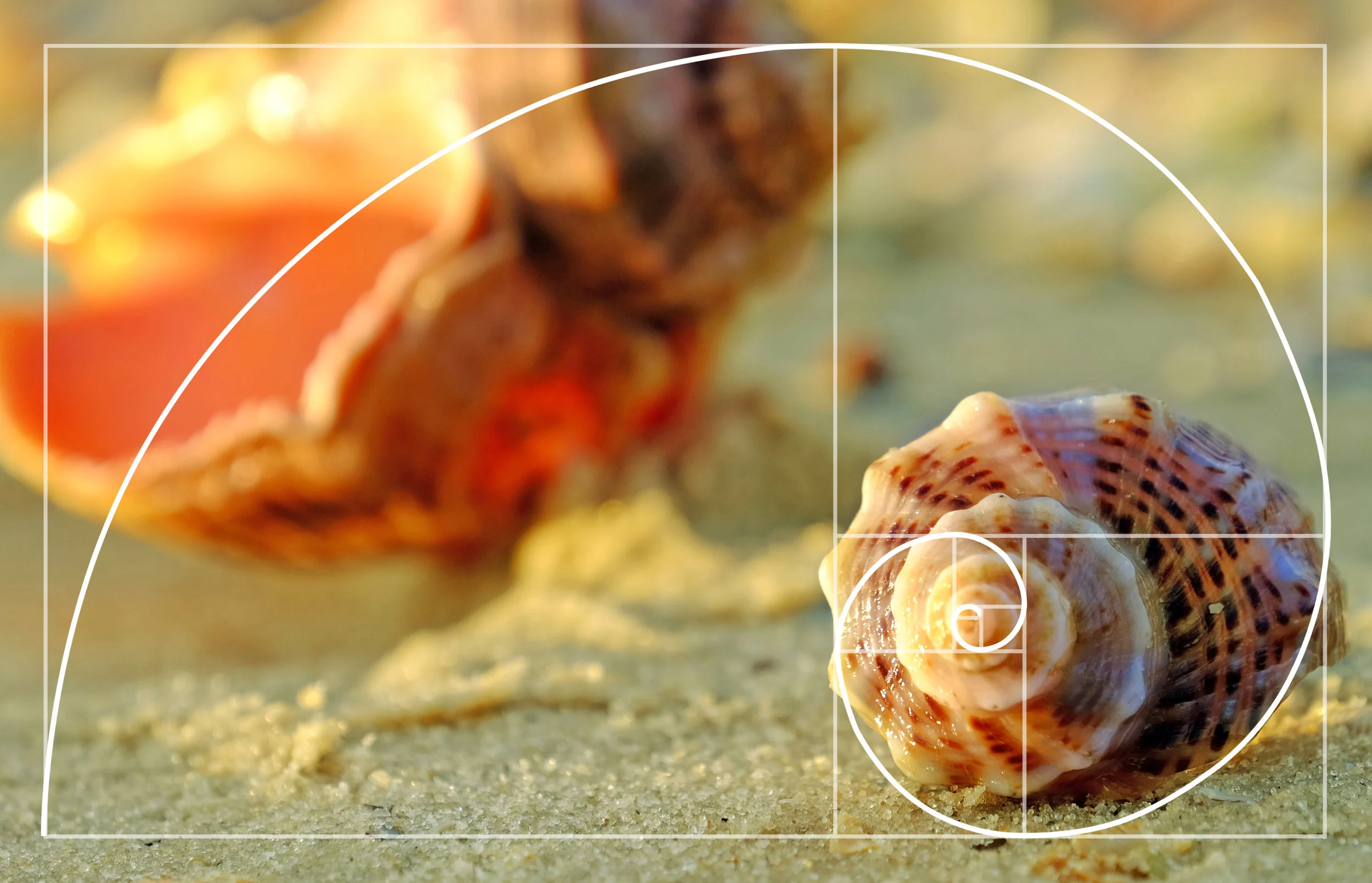 summermath.jpg