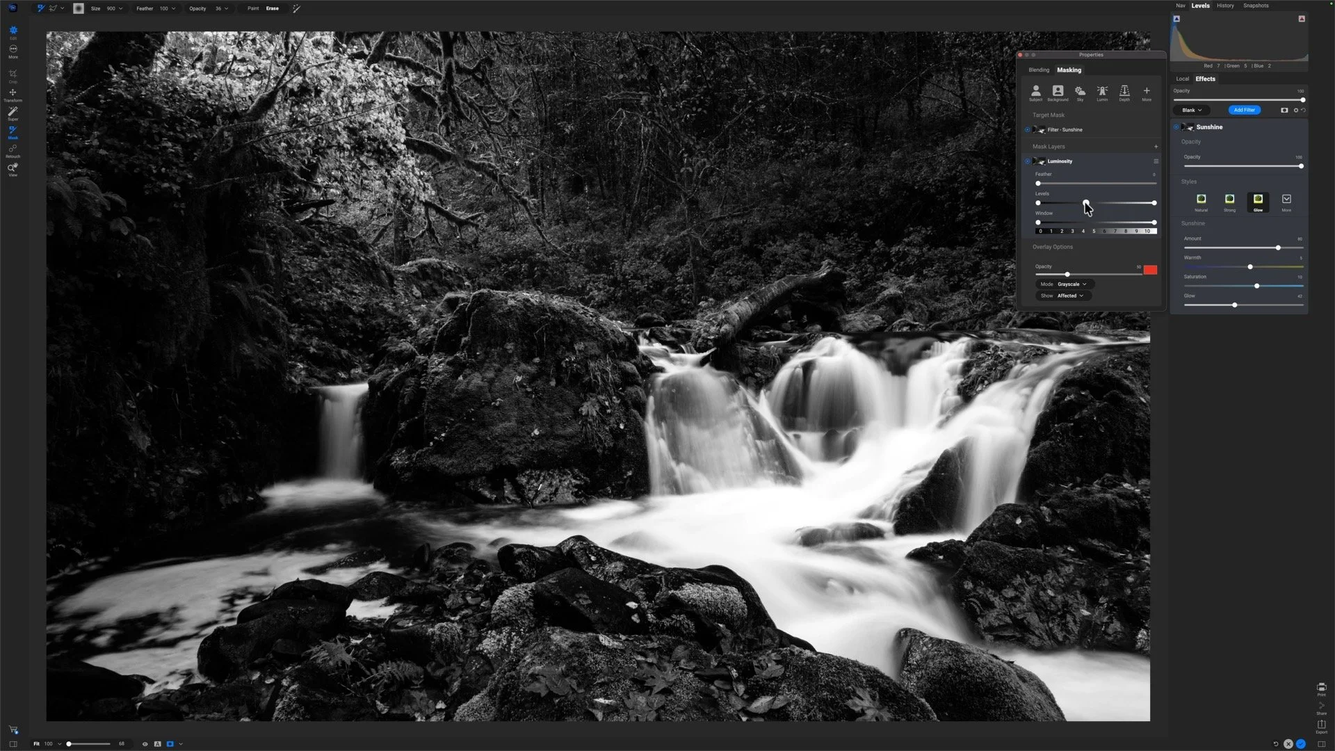 Black-and-white luminosity mask with bright foliage and water and darker forest areas.