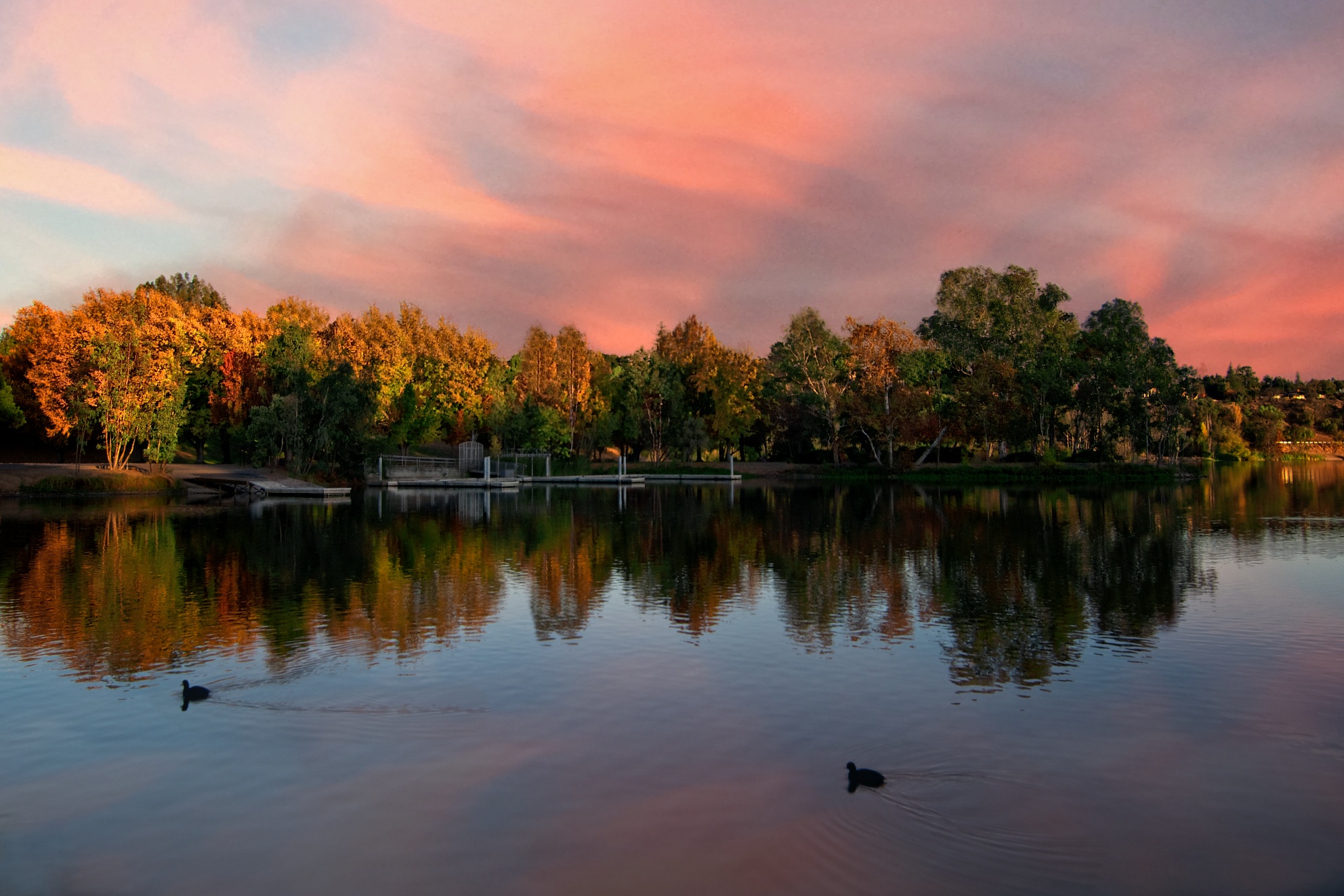 Fill In The Tree Line For A Richer Landscape Photo