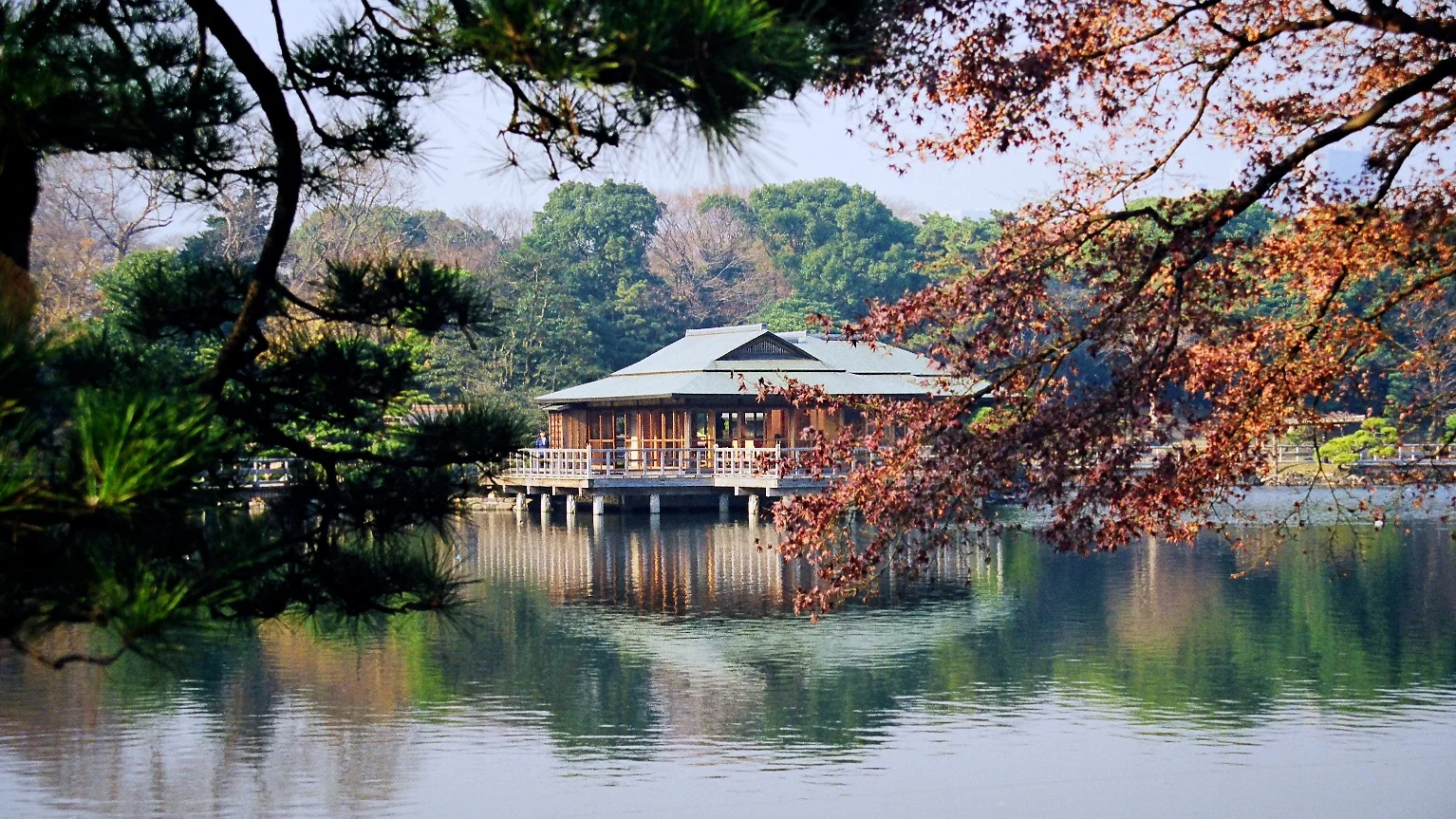 Reflection In Japan | Hama-Rikyu Gardens