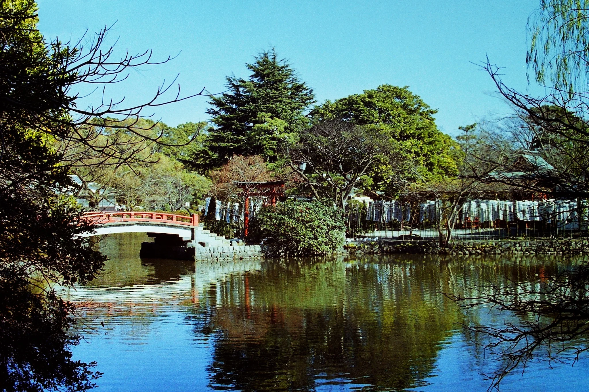 Tsurugaoka Hachiman-gū, Kamakura, Japan