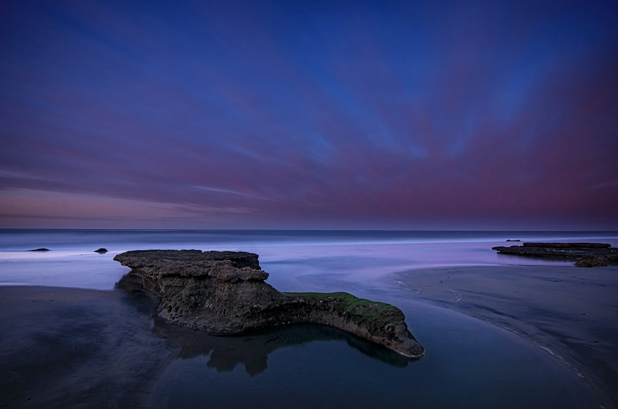 The Sleeping Dragon | San Diego Gallery