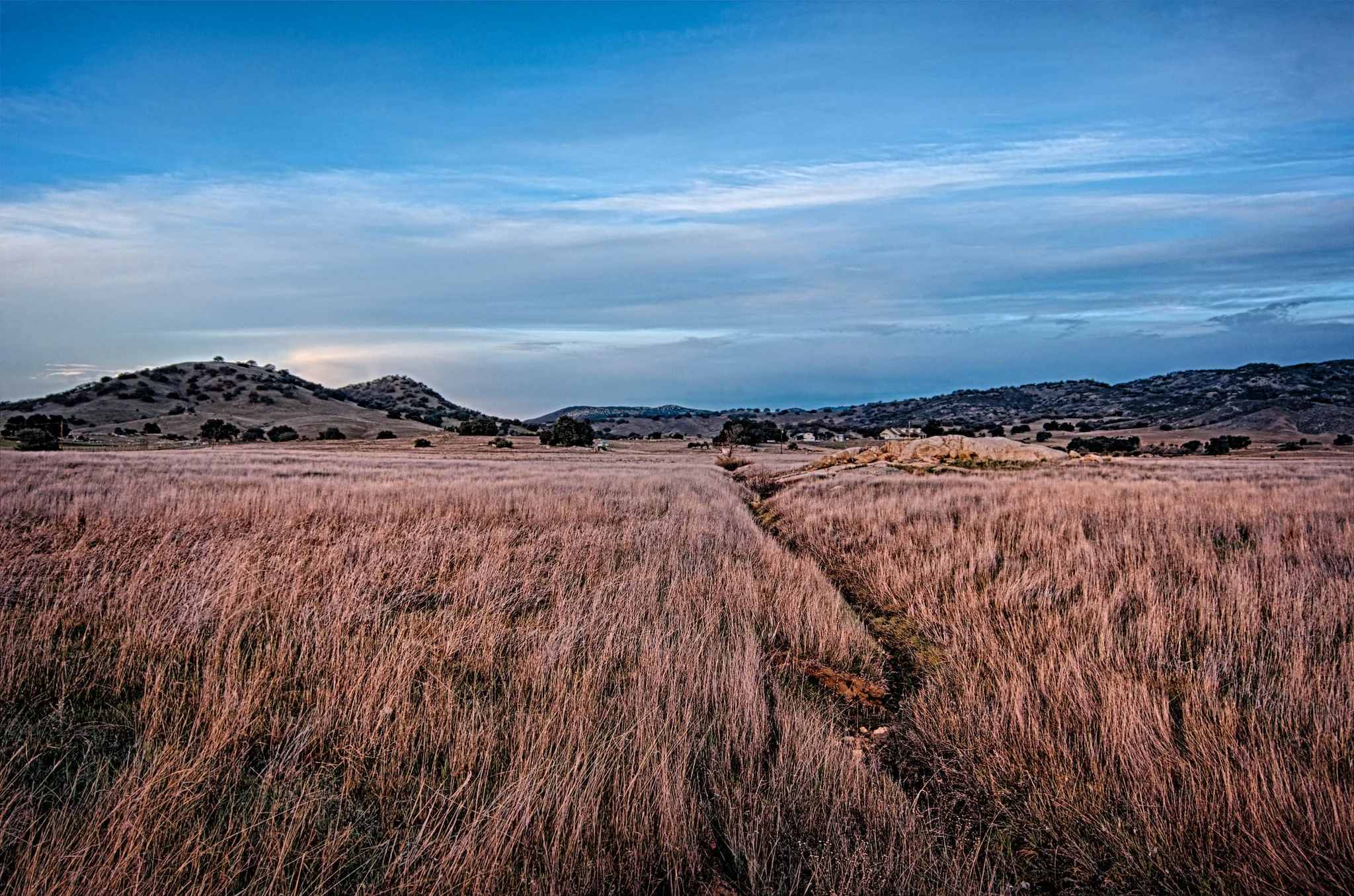 A Grassy Meadow & A Little Live Edit Fun