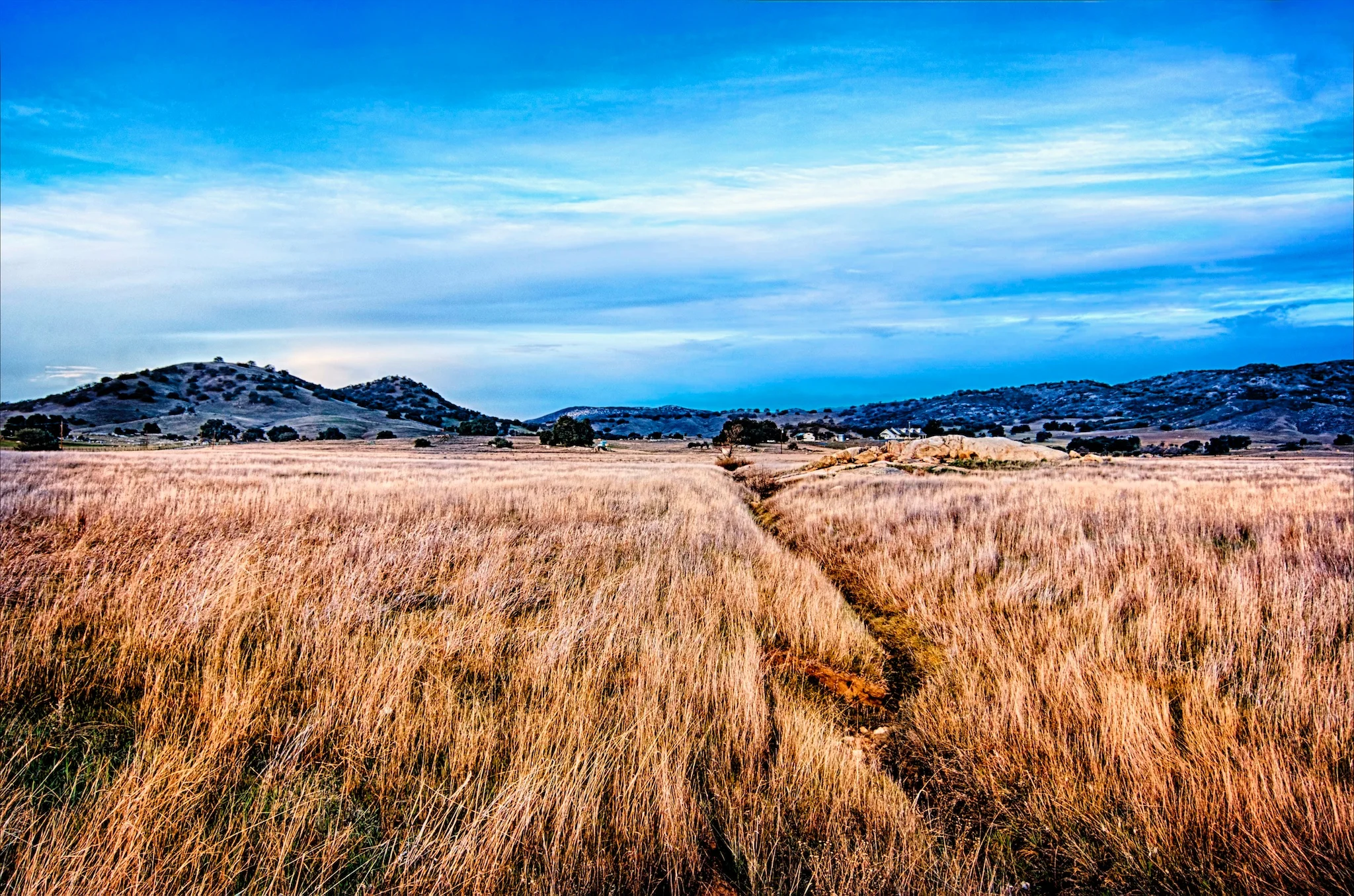 A Grassy Meadow, Take II
