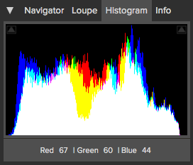 The Perfect Photo Suite Histogram