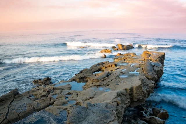 Last Weekend's Photo Harvest and I Get Photobombed