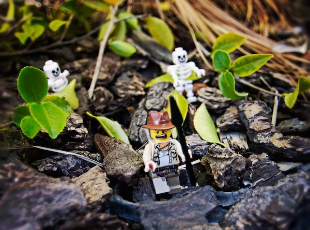 The Adventures of Lego Man: Nature