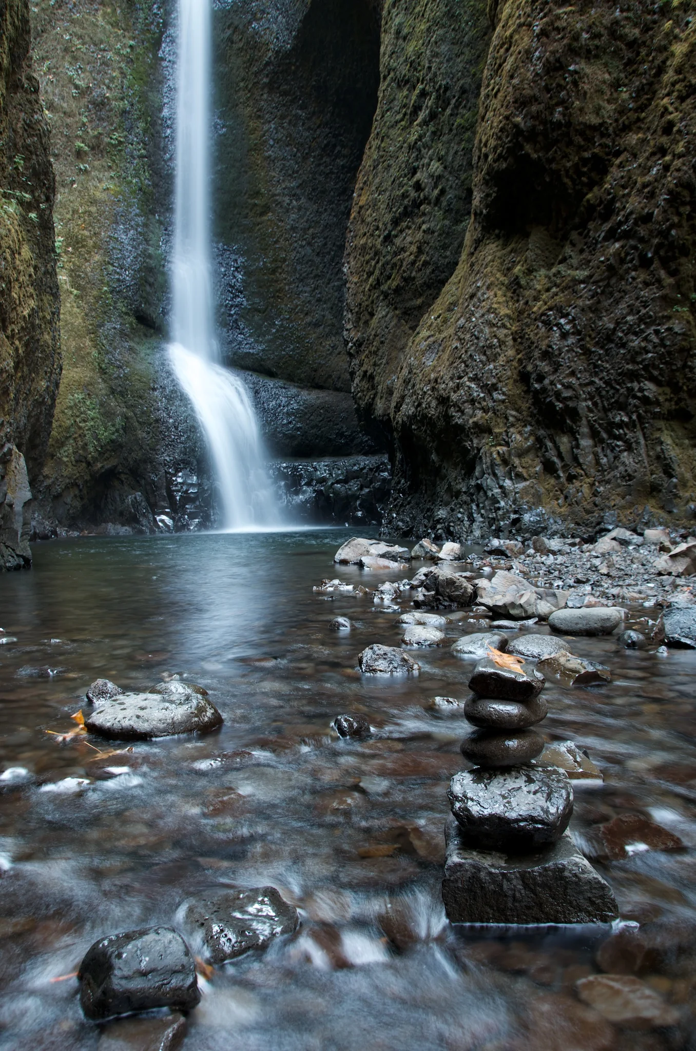 No Polarizer