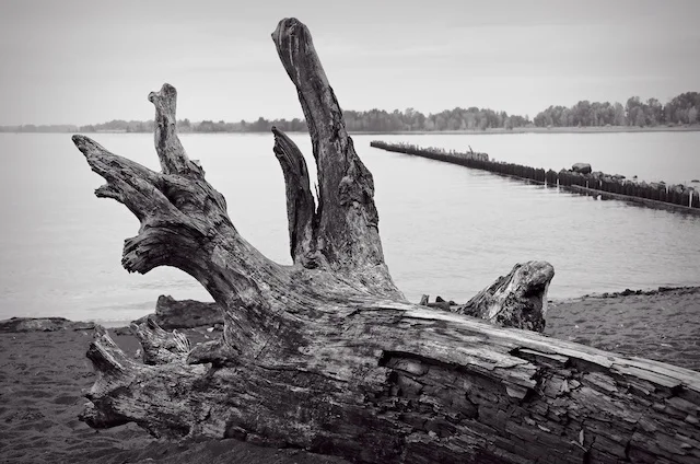 My eBook Is Shaping Up Nicely