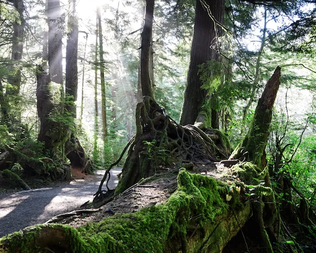 How Many Keepers Should I Get From A Photo Trip?