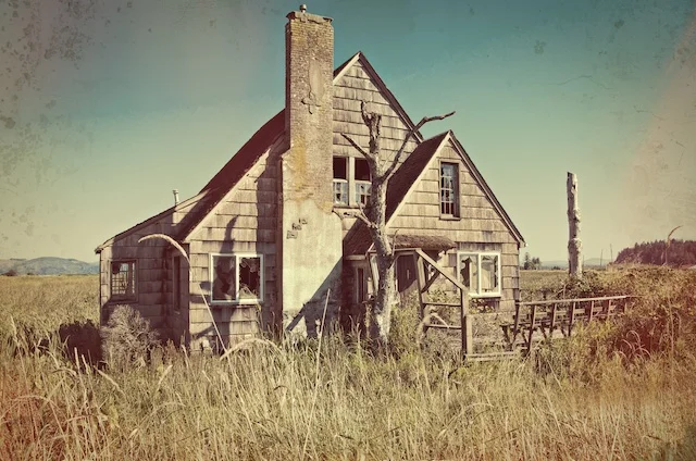 Story / The Journey Or The Shot?