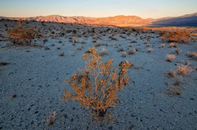 In The Field: Anza Borrego Desert