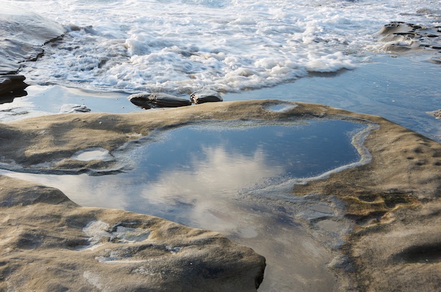 To Polarize Or Not To Polarize