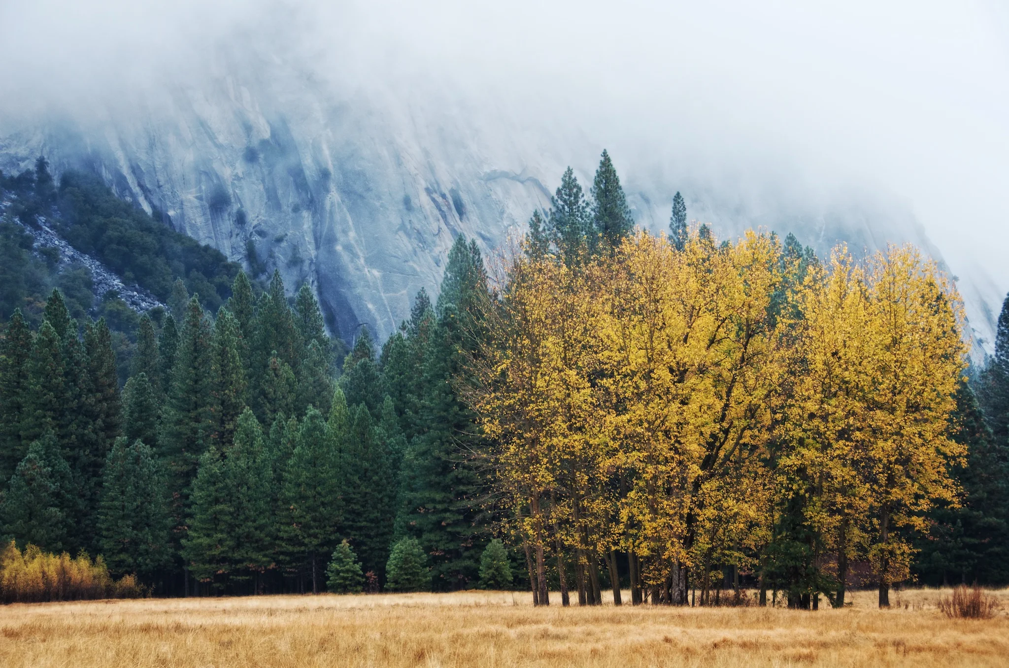 Fall Colors in Yosemite