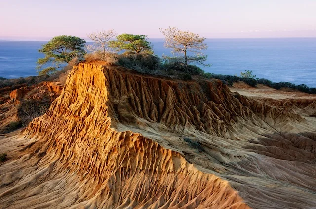 In The Field: Broken Hill