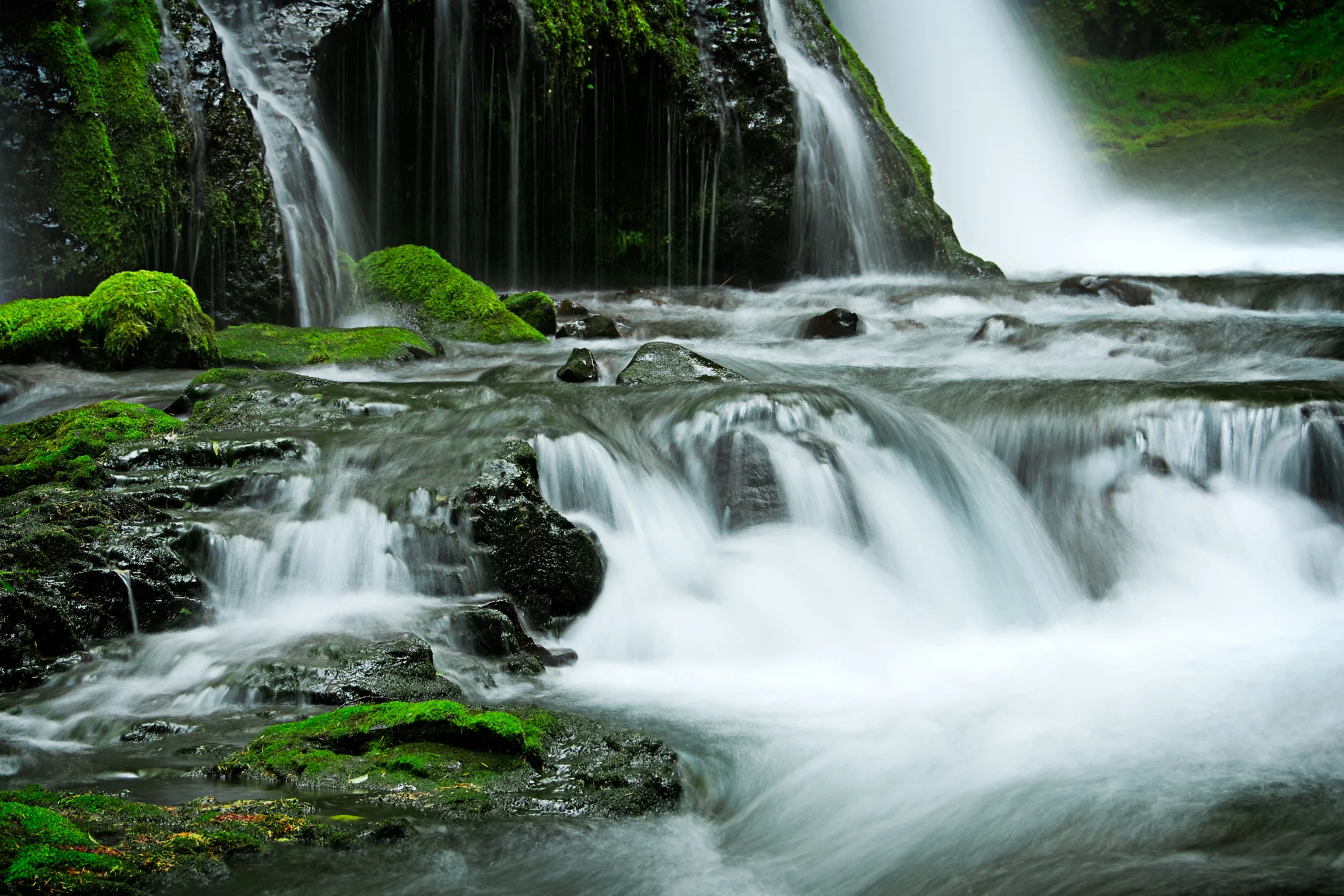 Will Your Next Gear Purchase Advance Your Photography?