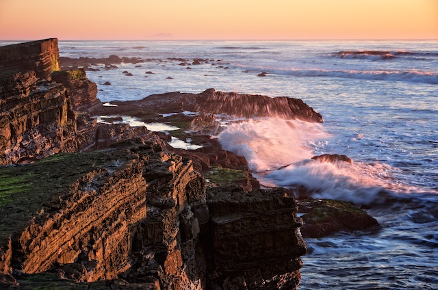 In The Field: Cabrillo Tide Pools