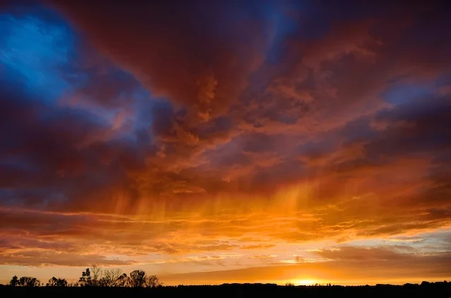 The Professional Photographer Vs. the Very Good Amateur