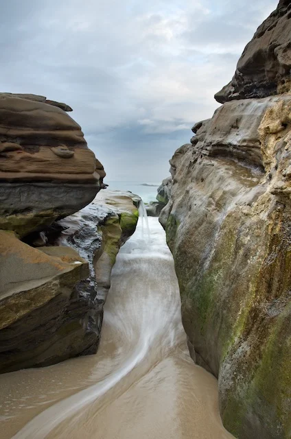 In The Field: Windansea Beach