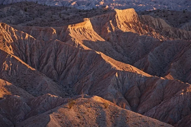 In The Field: Carizzo Badlands