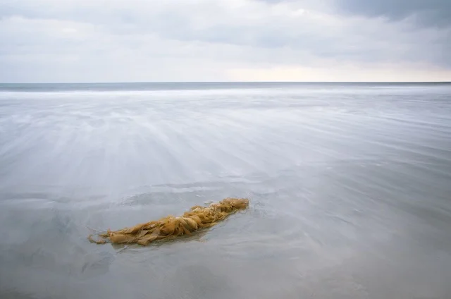 In The Field: Carlsbad