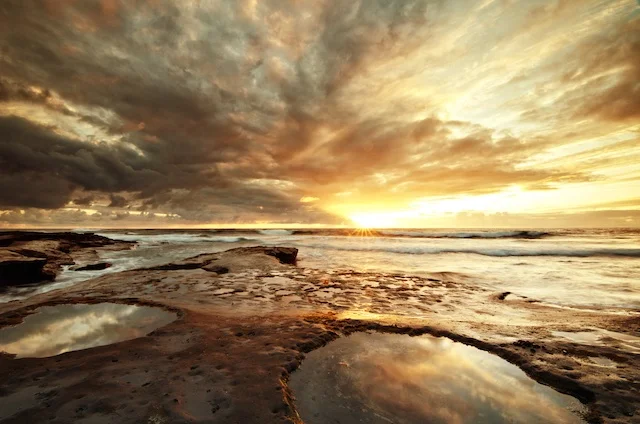 In Post: Tide Pools In La Jolla