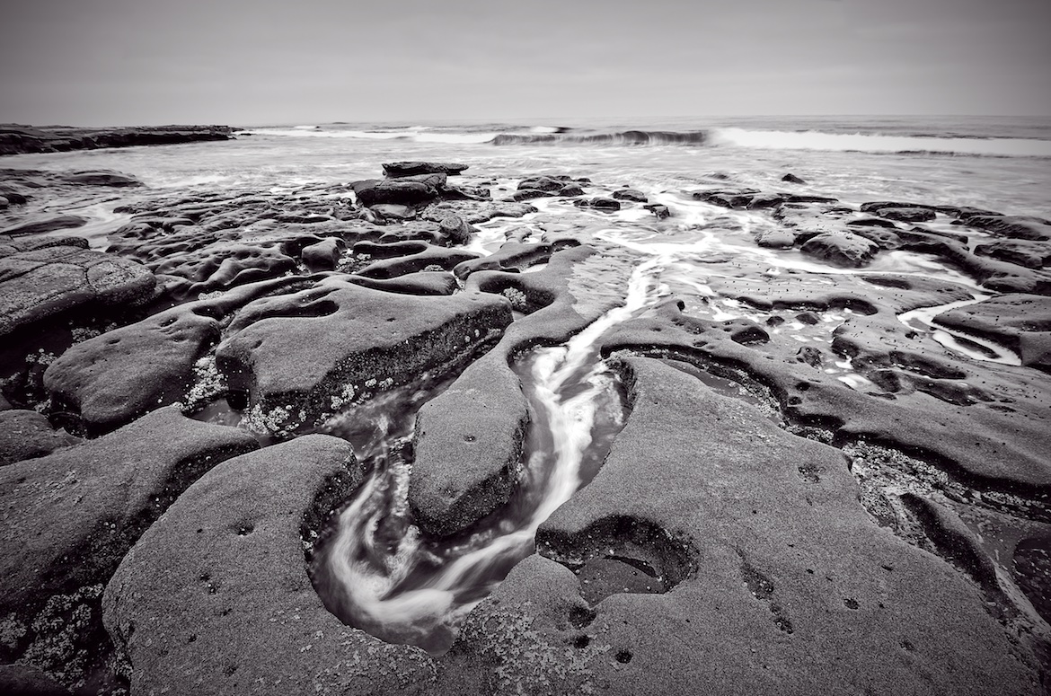 The La Jolla Tide Pool Maze