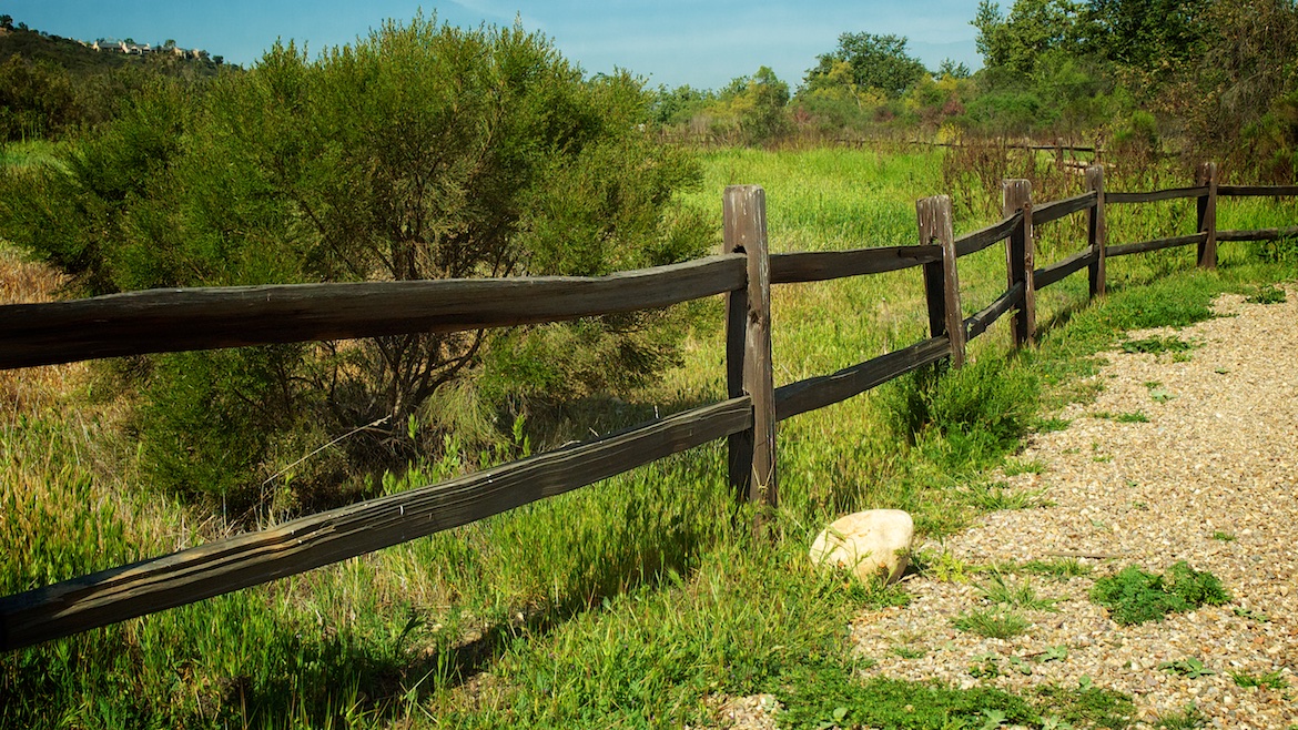 Penasquitos Canyon Trail