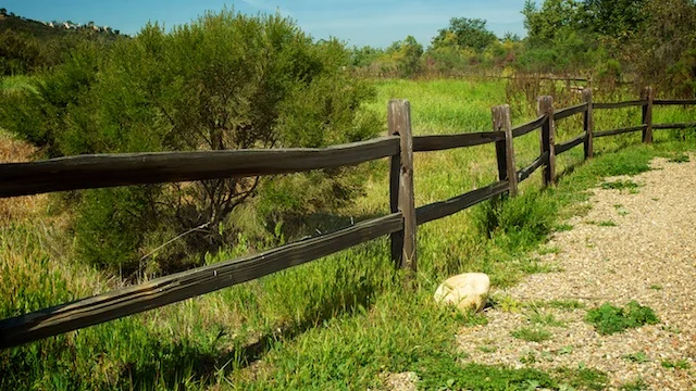 A Month Of San Diego - Penasquitos Canyon Trail