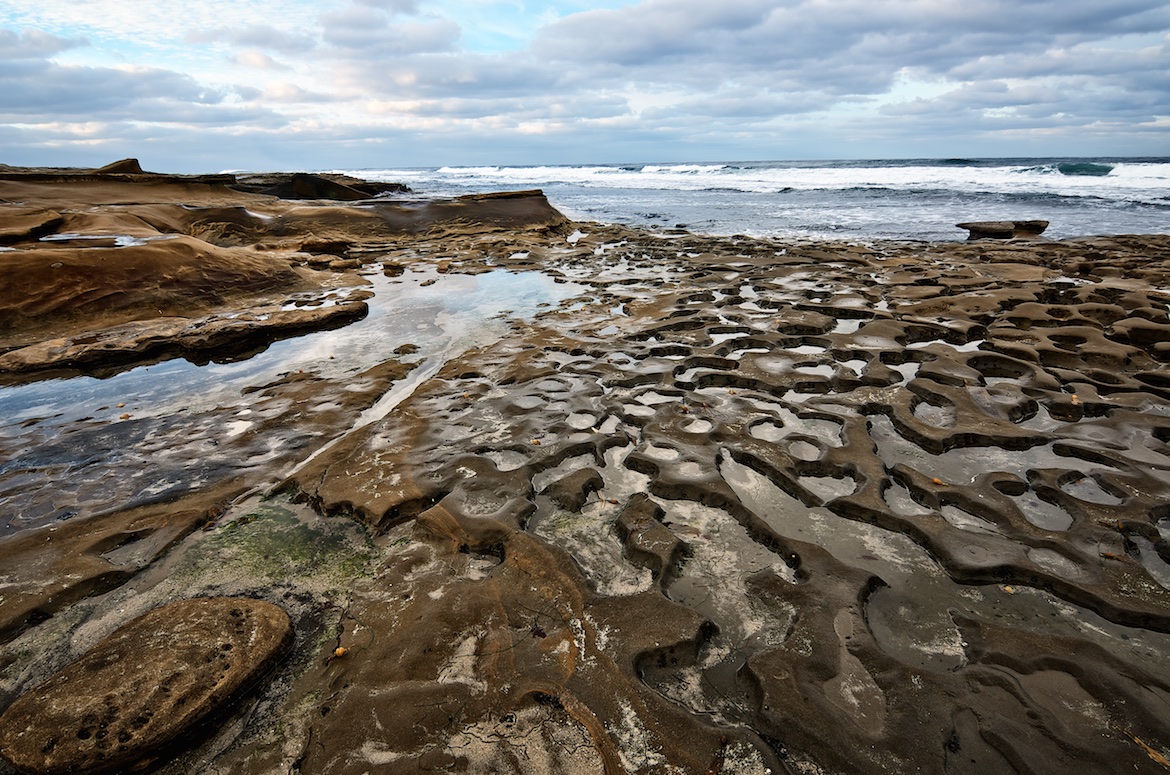 La Jolla Tide Pools, San Diego