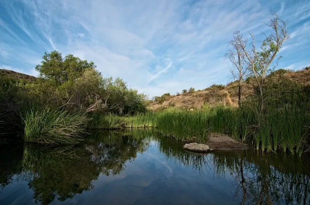A Month Of San Diego - Reflections In Penasquitos Canyon