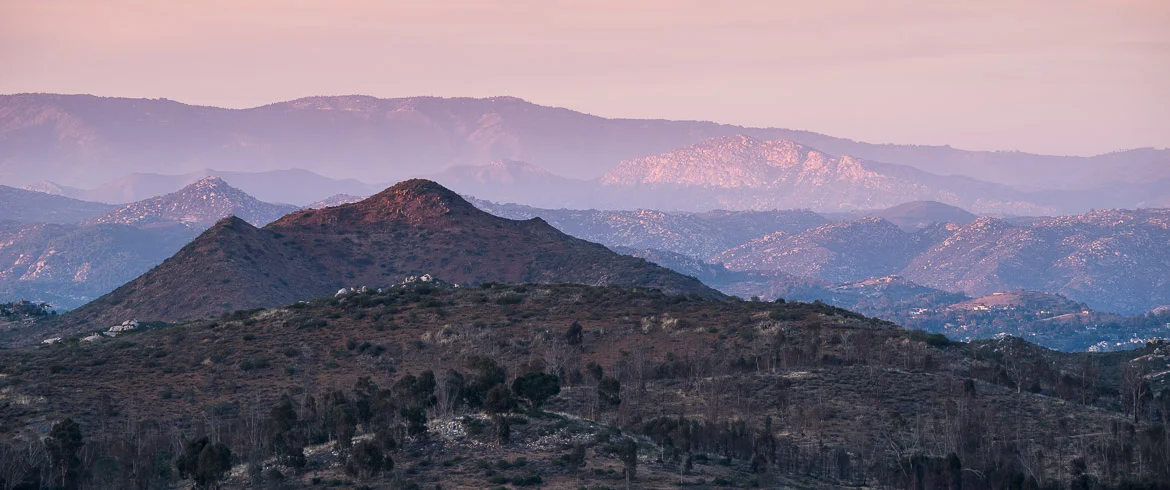 In The Field - Hills Of San Diego