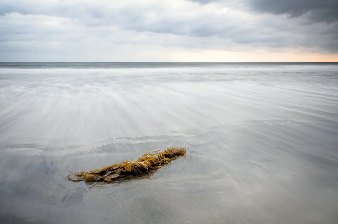 Perfect Inspiration: Simple Is Beautiful