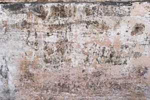 Blending Textures With Your Photos