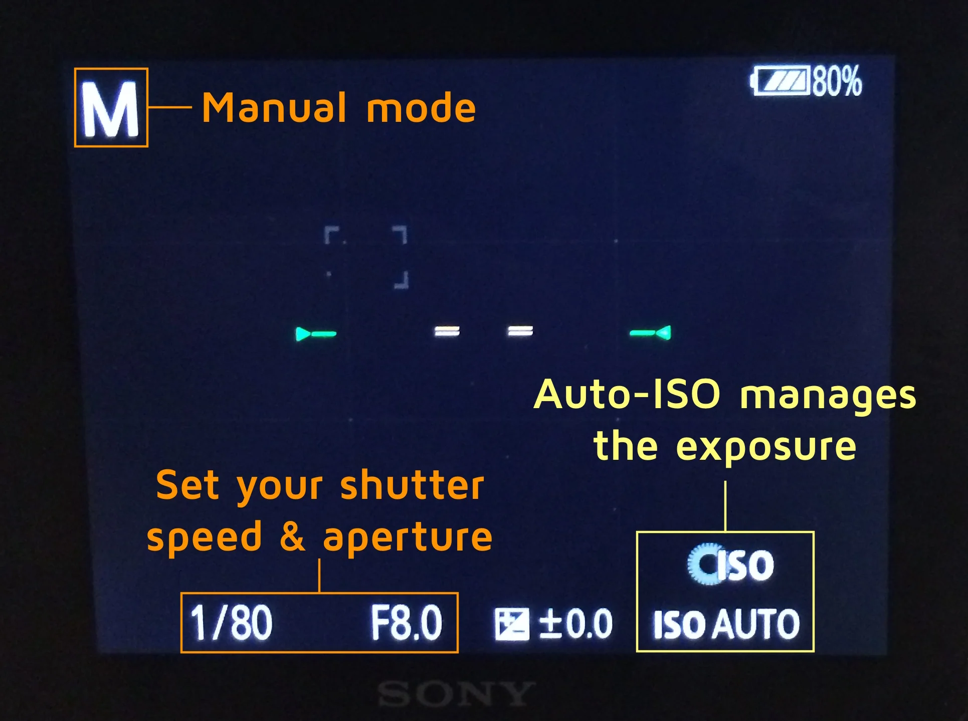 Use the Auto-ISO feature on your camera when shooting in dimly lit churches