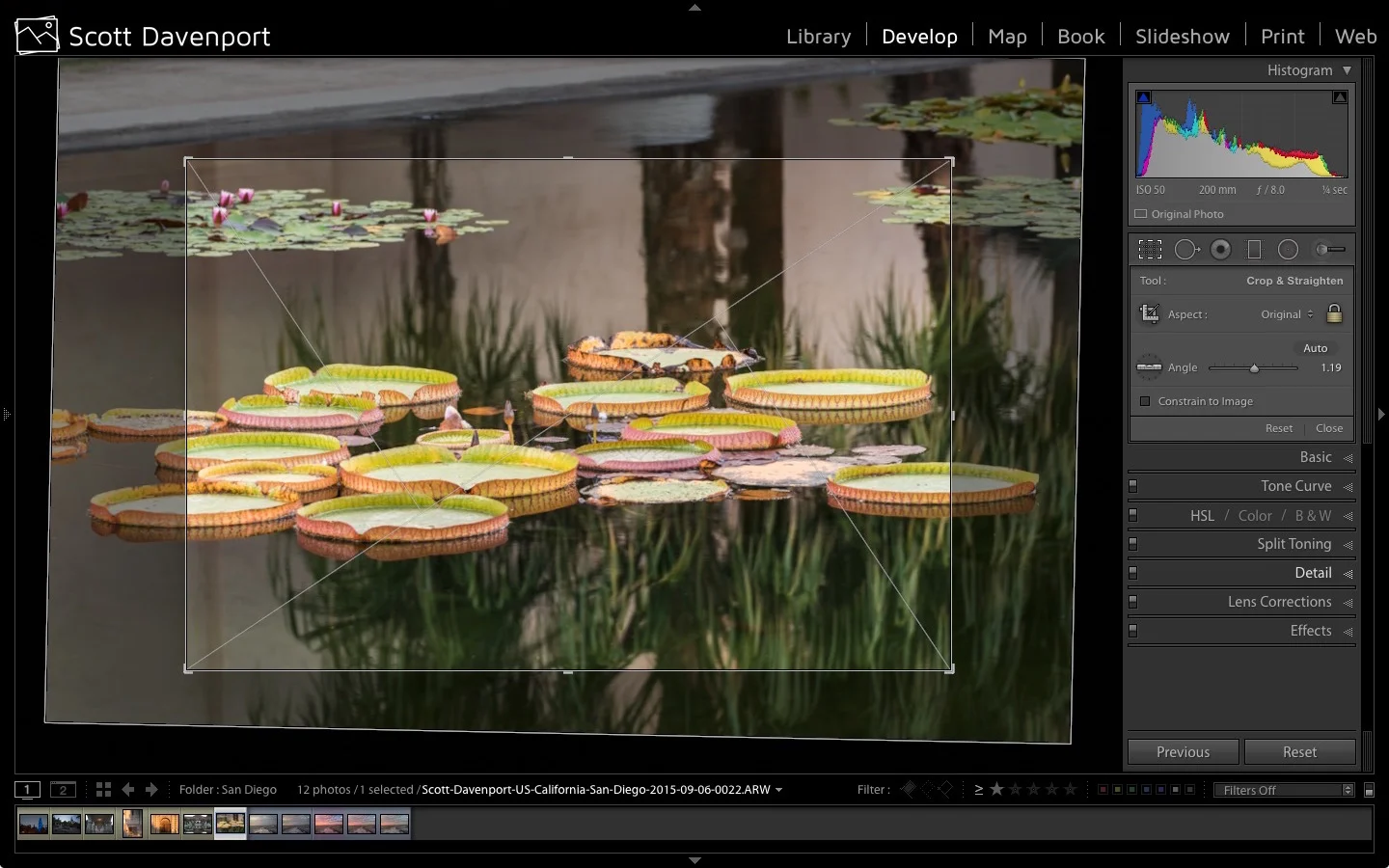 Lightroom Crop Guide Overlays