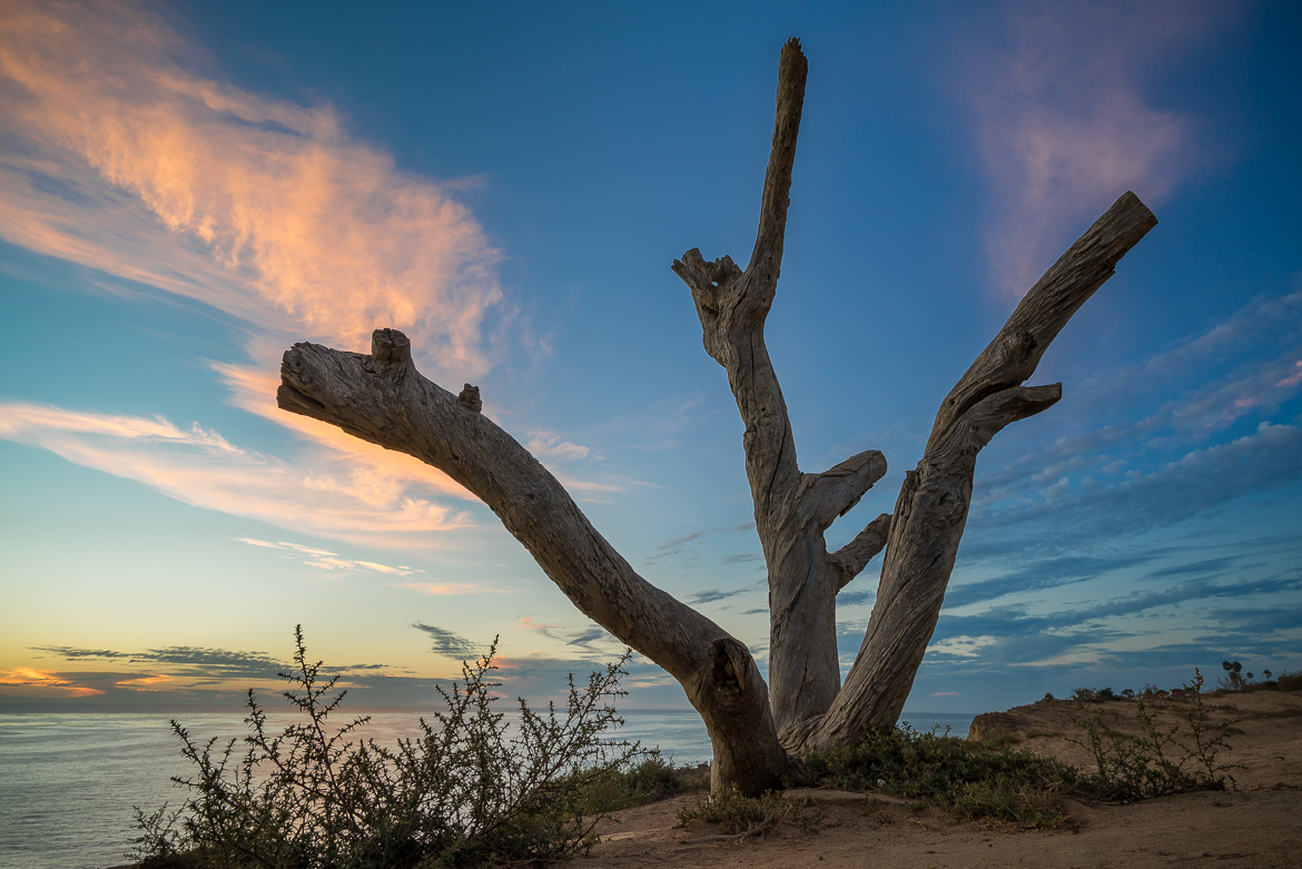 Scouting At Sunset Cliffs