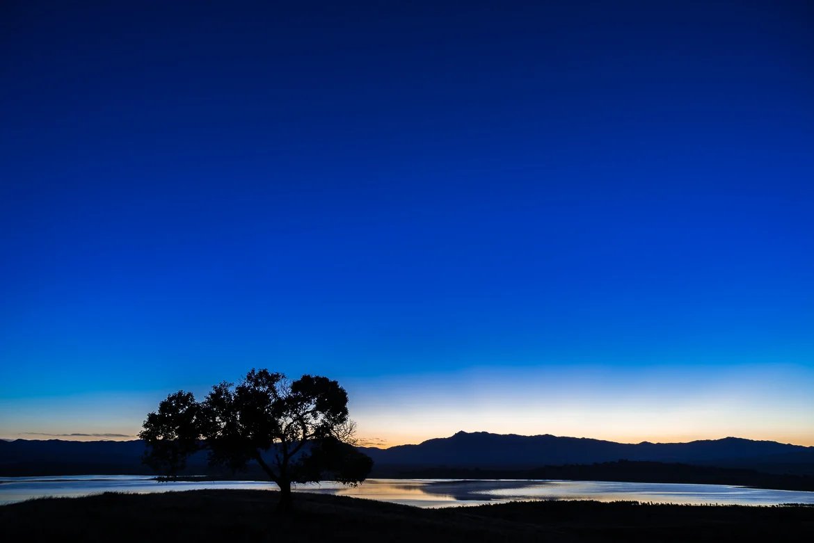 In The Field: Minimal Composition