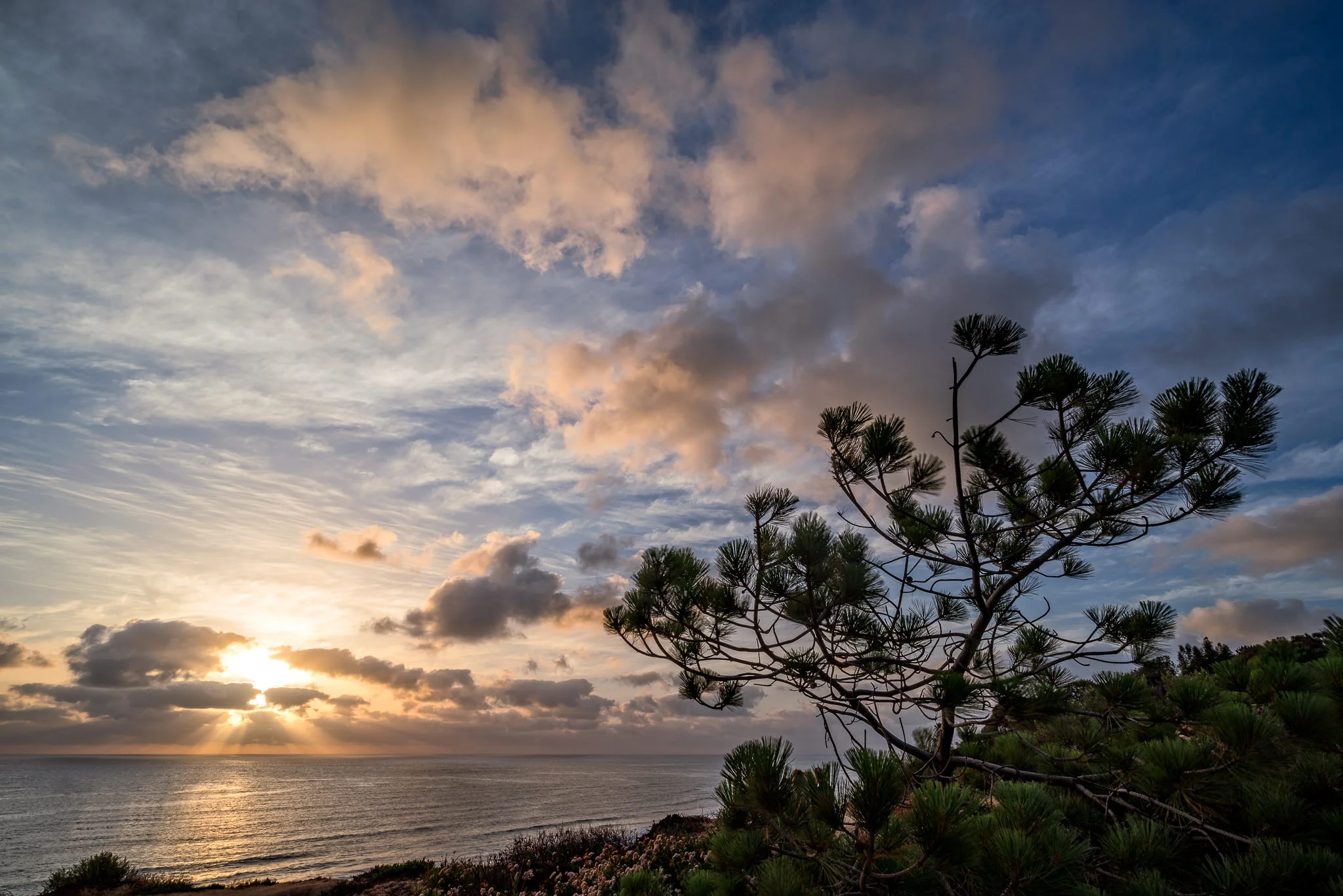 Sunset In Del Mar