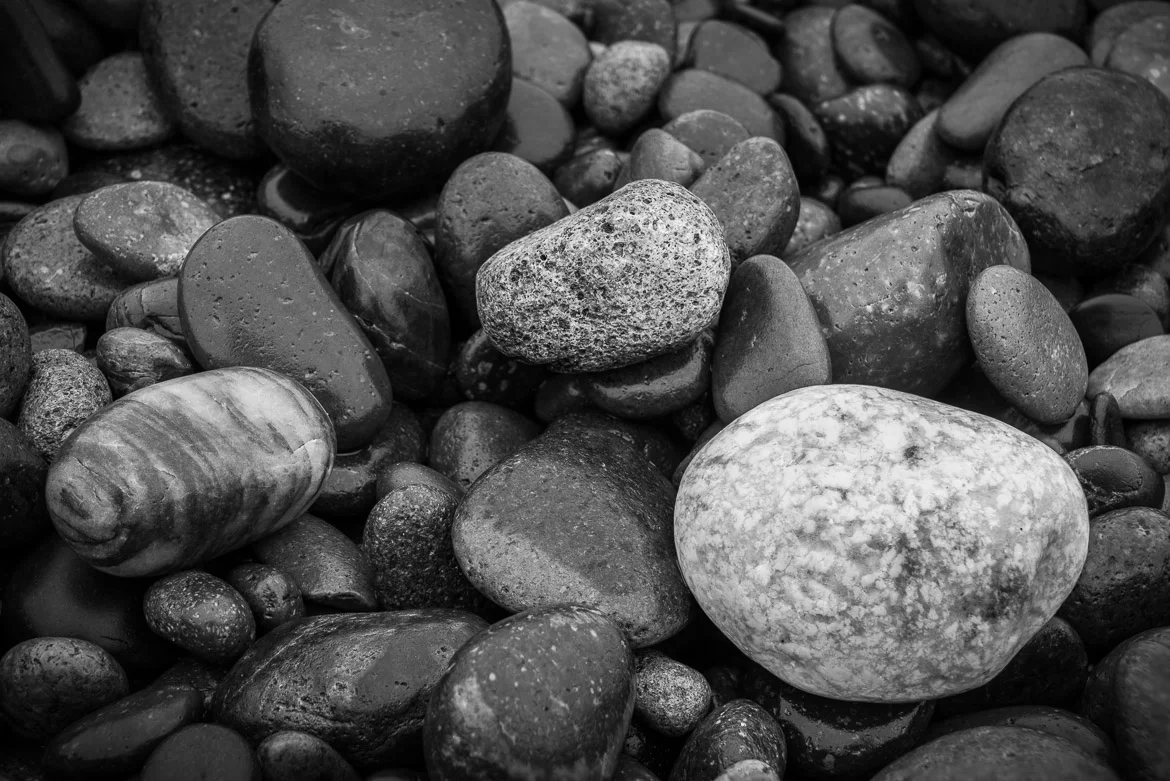 In The Field: Finding Intimate Landscapes #106