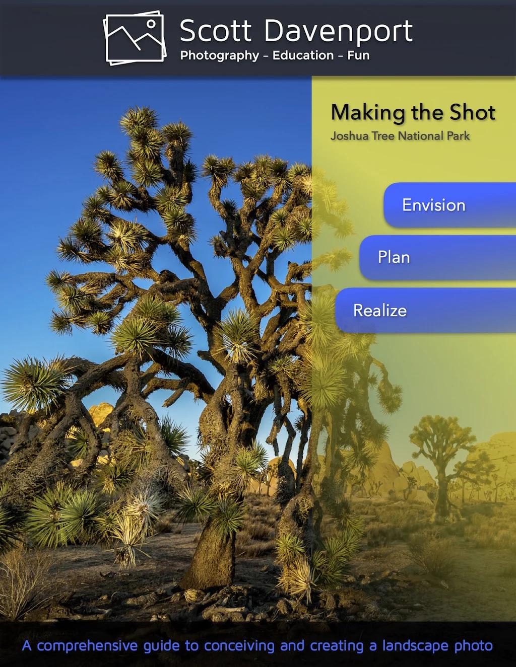 Making The Shot: Joshua Tree