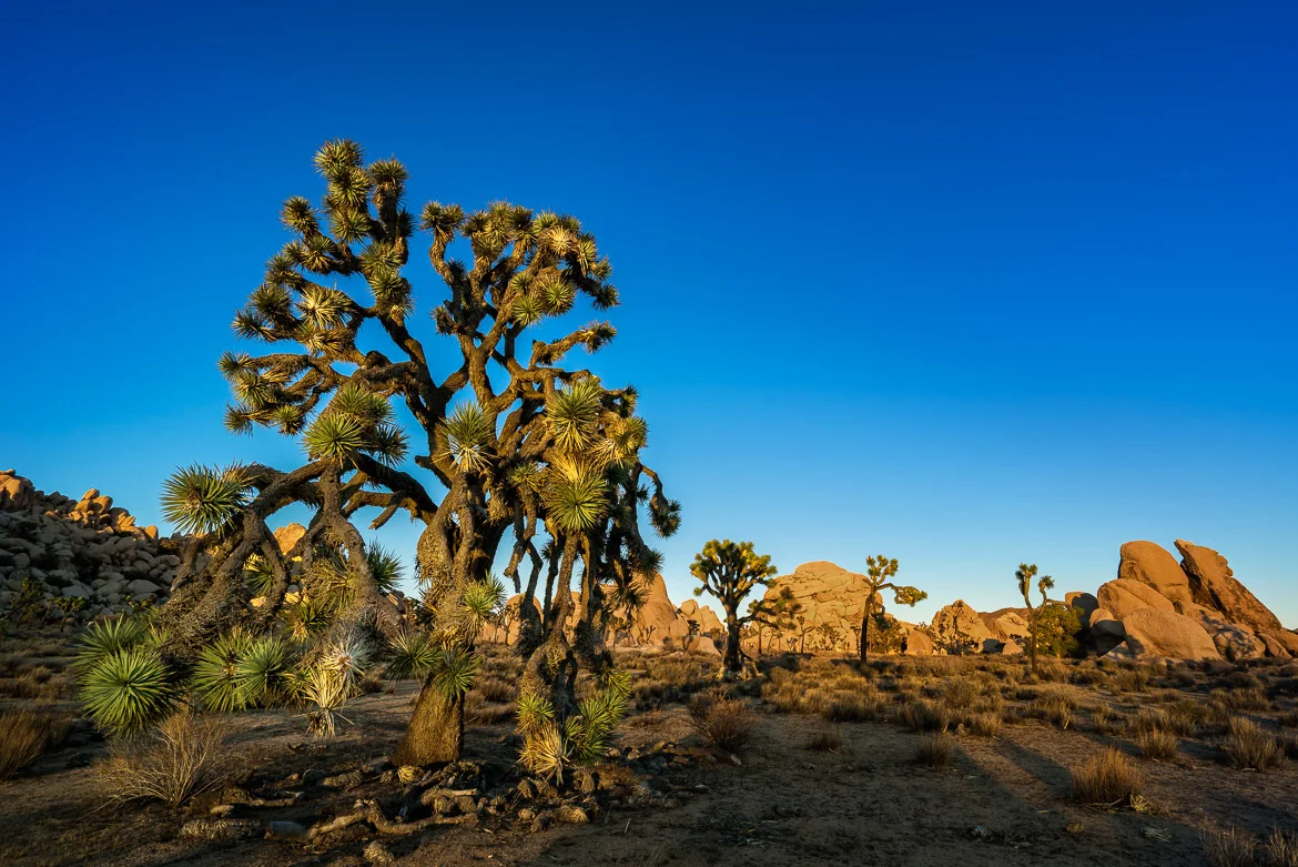 Sunset In Hidden Valley