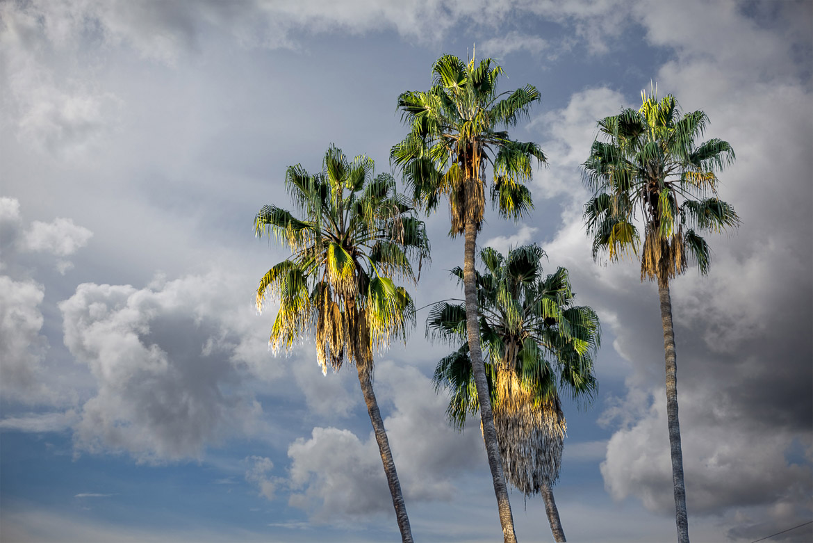 Four Palms, A Month of San Diego, Day 18 of 31