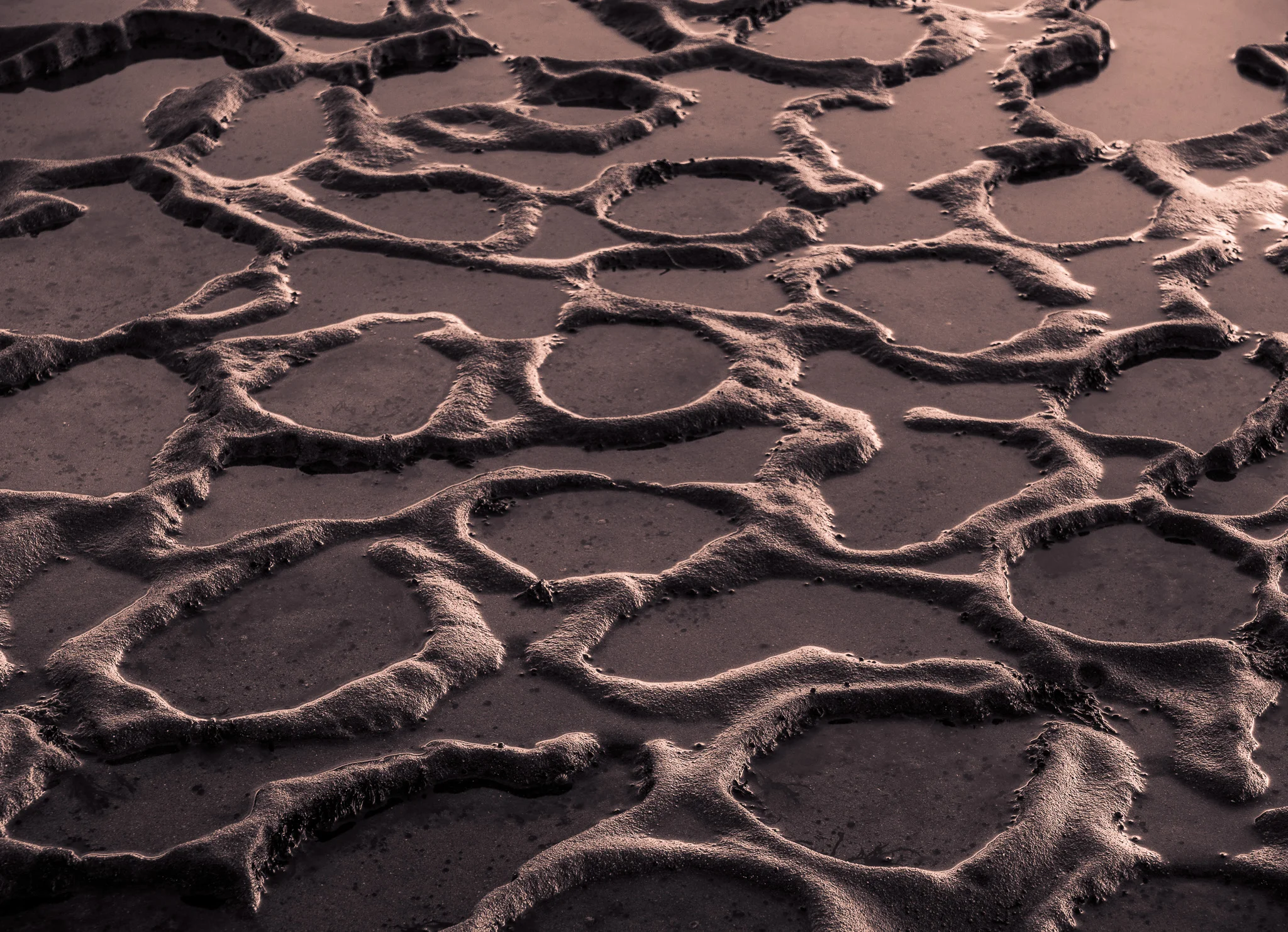 Tide Pool Abstract