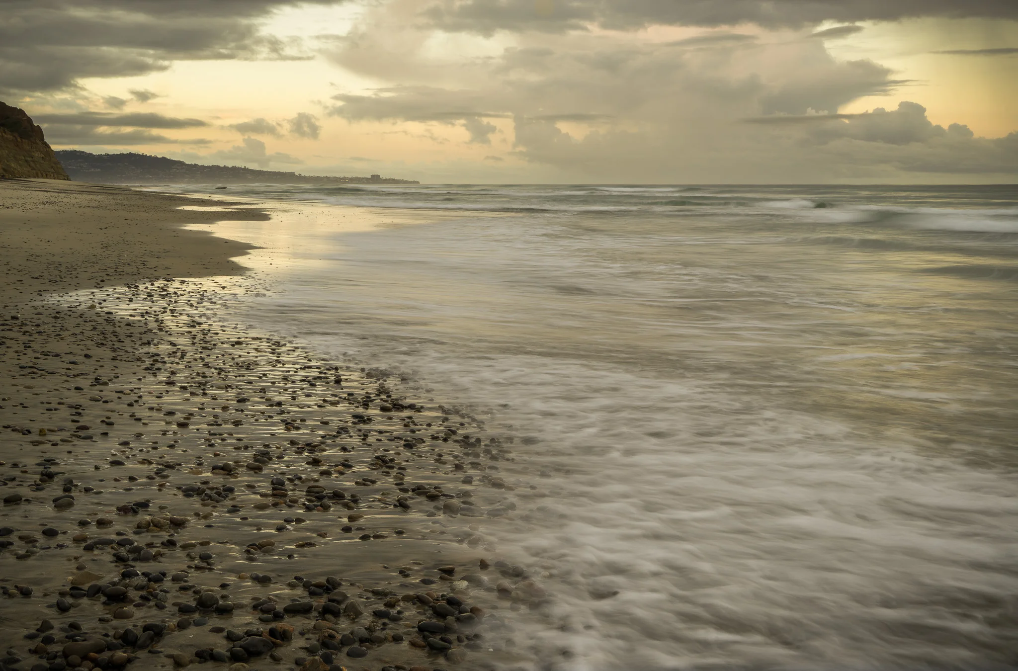 Torrey Pines At Dawn